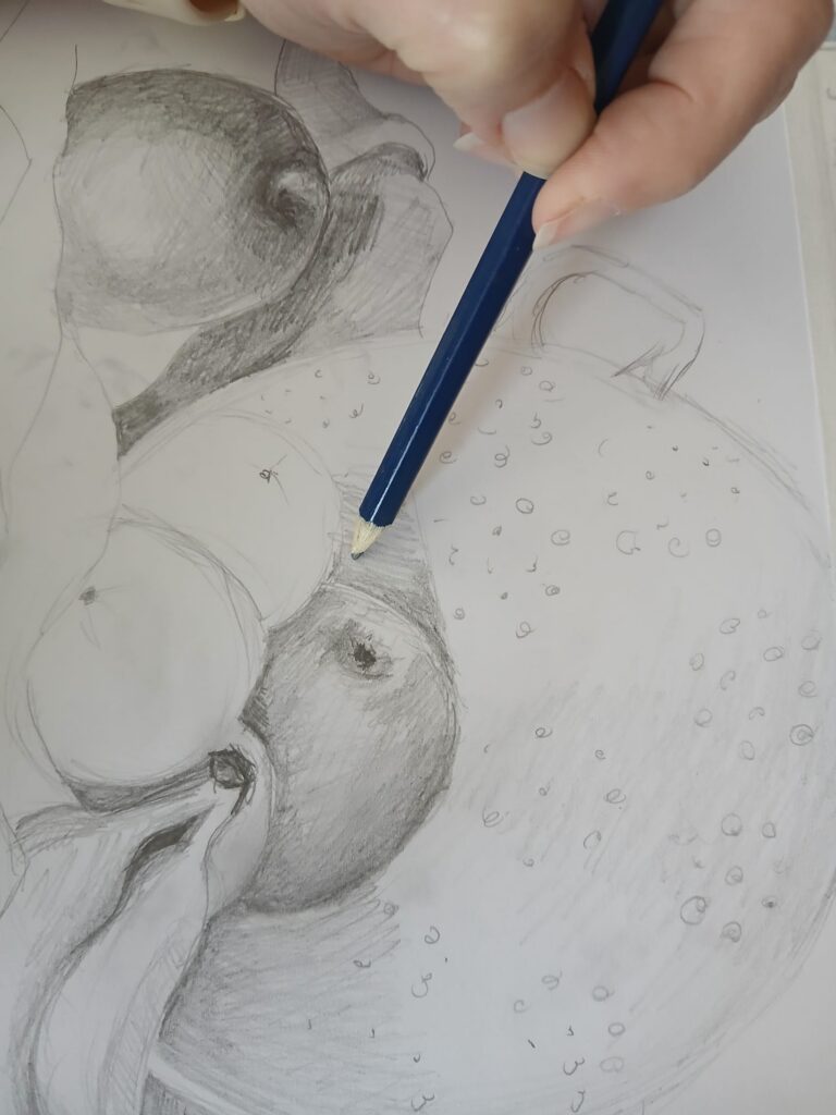 cours de dessin dans le Tarn